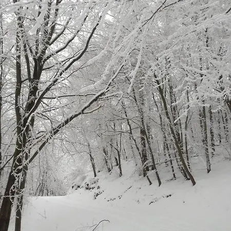 Hébergement de vacances Ferienhaeuser-am-eichenberg-haus-3 *