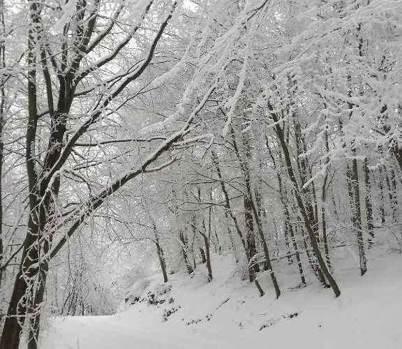 Semesterbostad Ferienhaeuser-am-eichenberg-haus-3 *